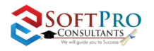SoftPro Consultants